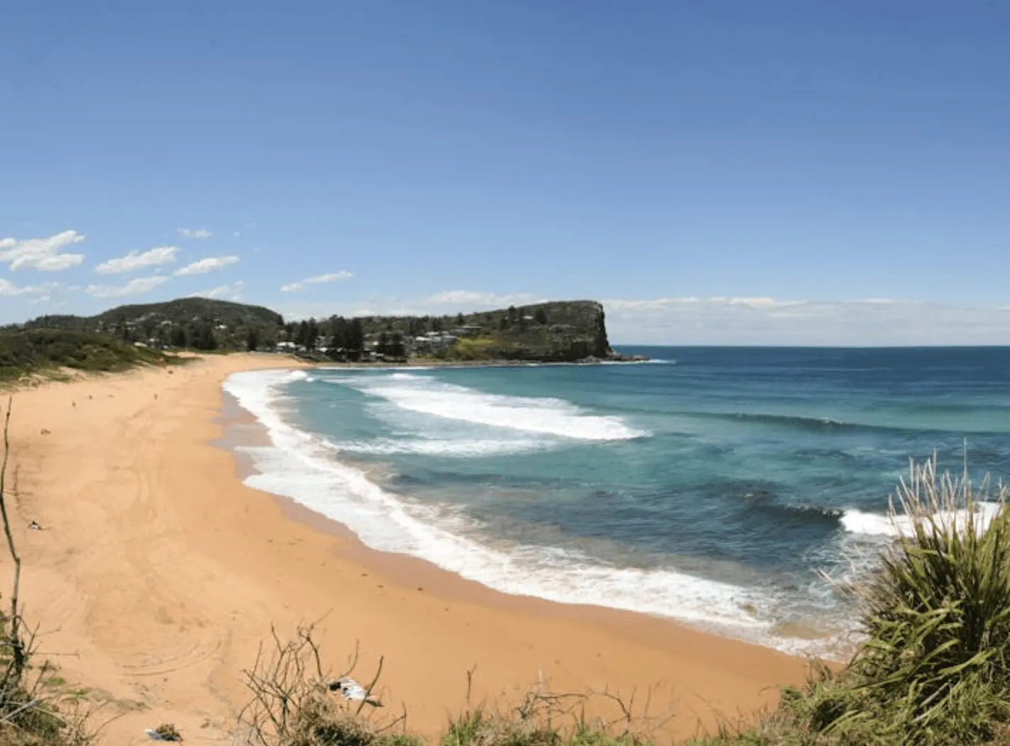 Avalon Beach Property